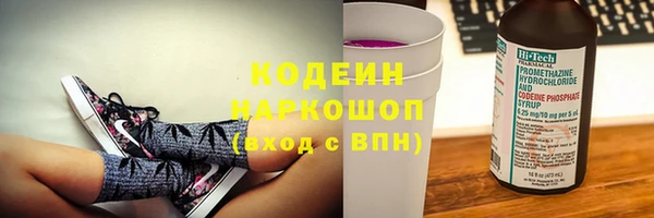 не бодяженный Горно-Алтайск