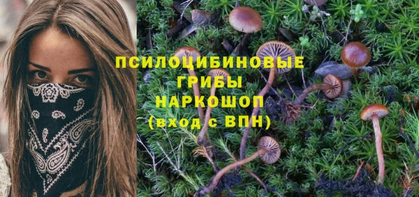 гашишное масло Горняк
