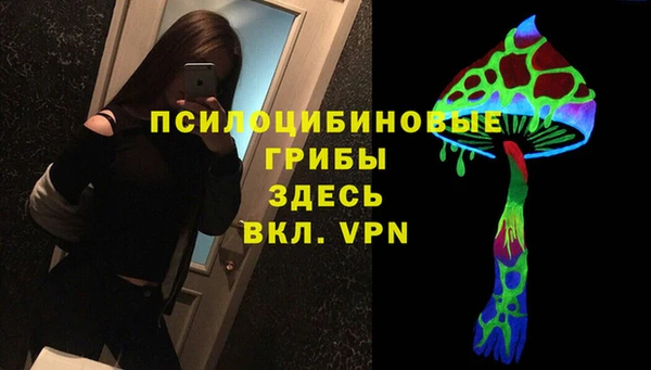 не бодяженный Горно-Алтайск