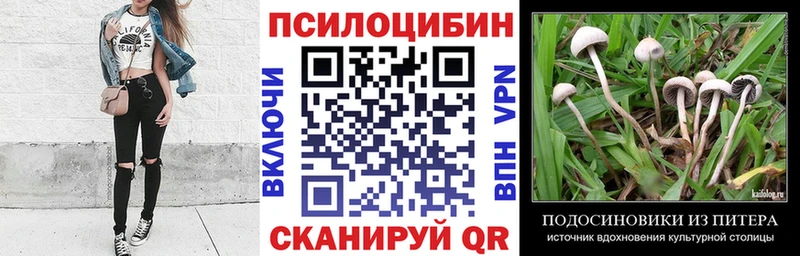 Галлюциногенные грибы GOLDEN TEACHER  Купить закладки  Родники 